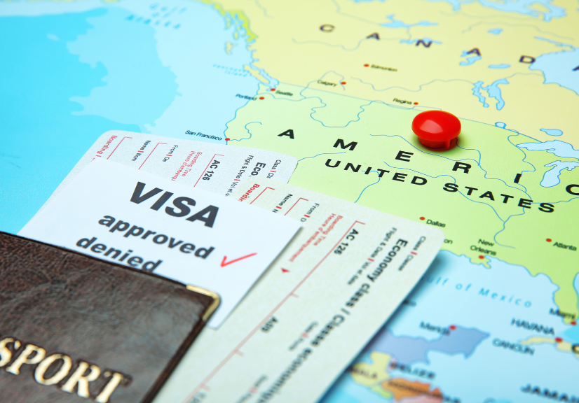 Visa Processing Assistance